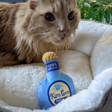 Loco Tequila Cat Toy