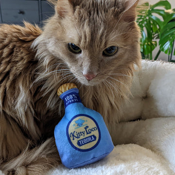 Loco Tequila Cat Toy