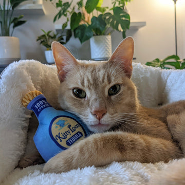 Loco Tequila Cat Toy