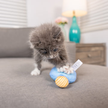 Loco Tequila Cat Toy