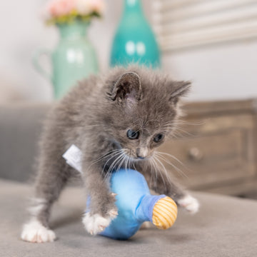 Loco Tequila Cat Toy