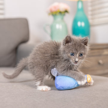 Loco Tequila Cat Toy