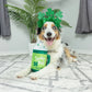 Lucky Pup Irish Latte Dog Toy