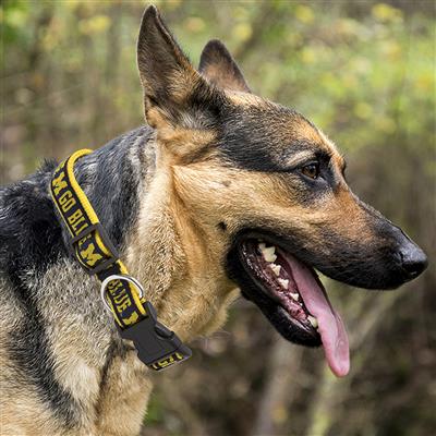 NCAA Michigan Wolverines Dog Collar