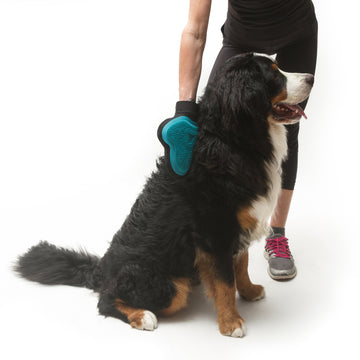 Reversible Silicone Pet Grooming Glove