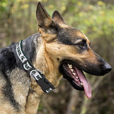 NCAA Michigan State Spartans Dog Collar