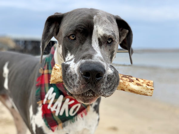 Beef No-Hide® Wholesome Chews - Large