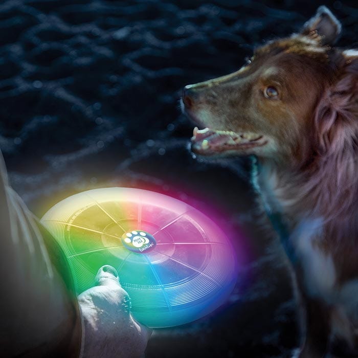 Flashflight Dog Discuit LED Flying Disc