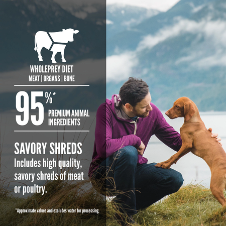 Orijen Wet Dog Food Regional Red Stew with Shredded Beef & Lamb