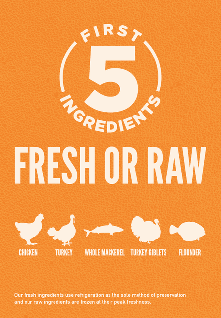 Orijen Dry Cat Food - Original Cat 12lbs