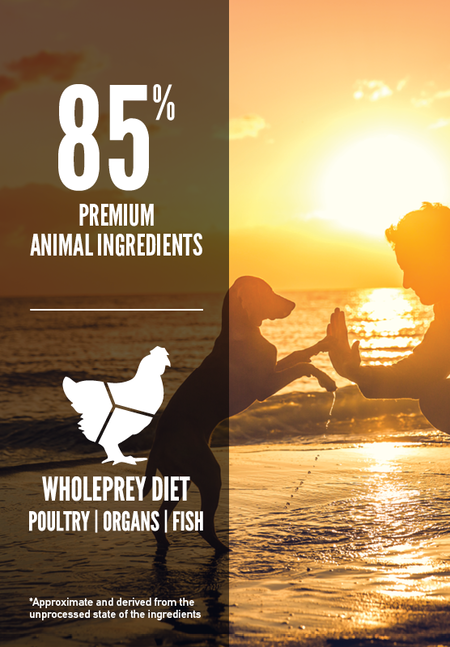 Orijen Dry Dog Food - Puppy