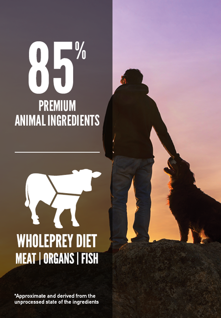 Orijen Dry Dog Food - Regional Red