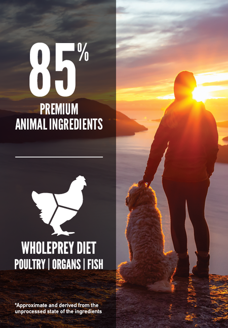 Orijen Dry Dog Food - Senior