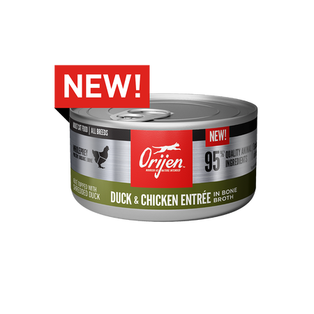 ORIJEN Wet Cat Food Duck & Chicken Entree