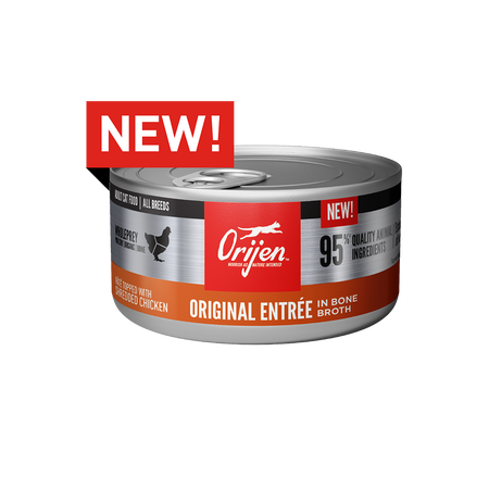 ORIJEN Wet Cat Food Original Entree in Bone Broth