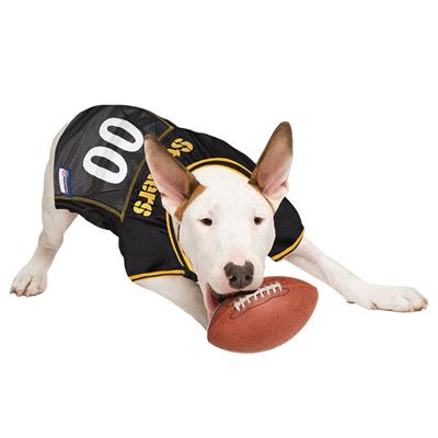 NFL Pittsburgh Steelers Jersey