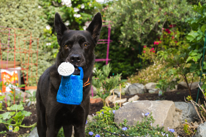 Blooming Buddies - Wagging Watering Can