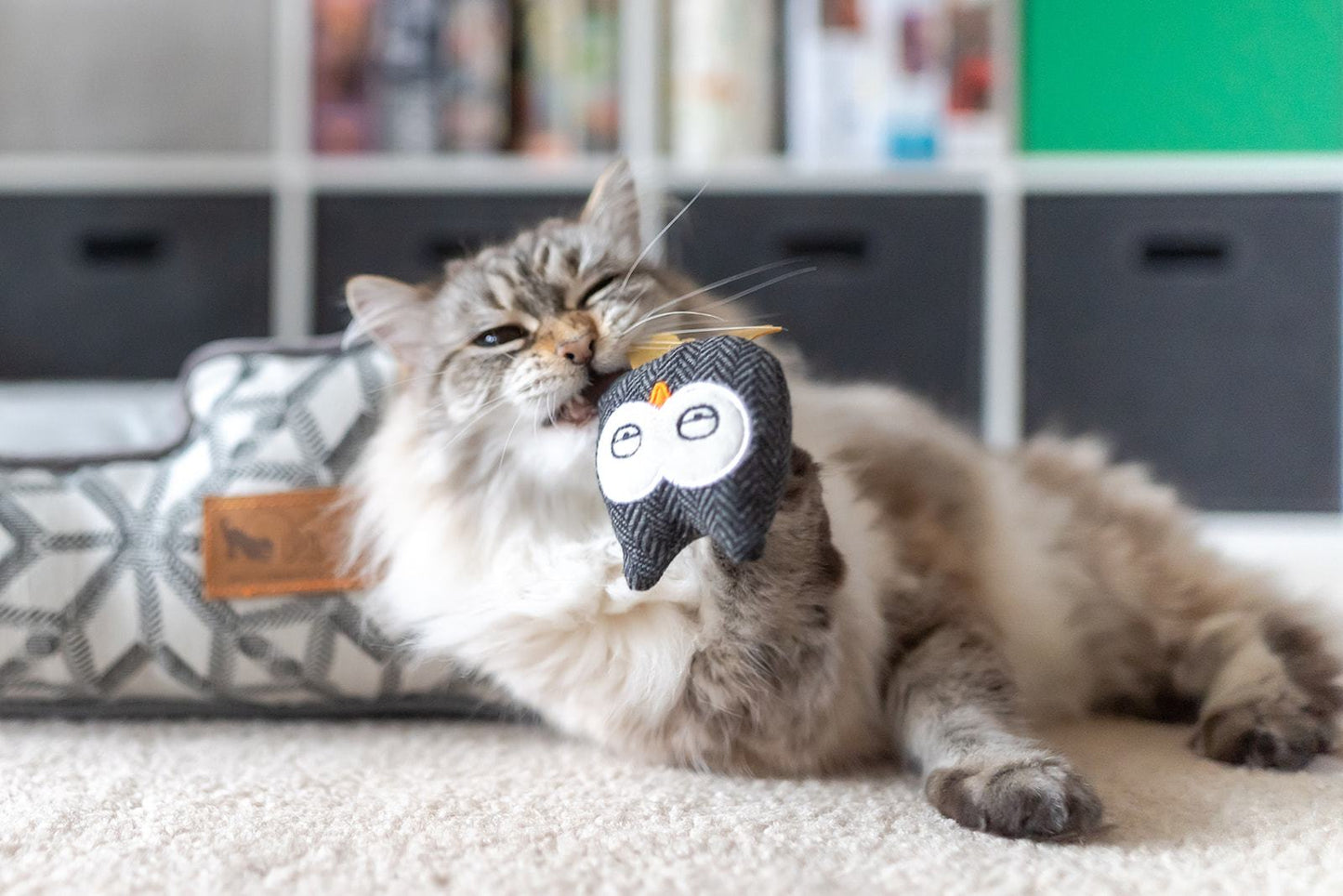 Feline Frenzy Critter Toy - Hooti-ful Owls