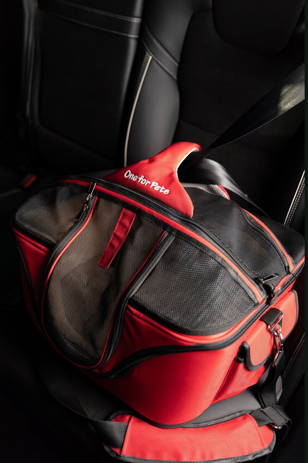 The Deluxe Cozy Pet Carrier