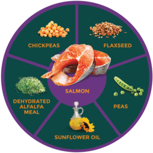 Zignature Salmon Limited Ingredient Formula Grain-Free 13oz