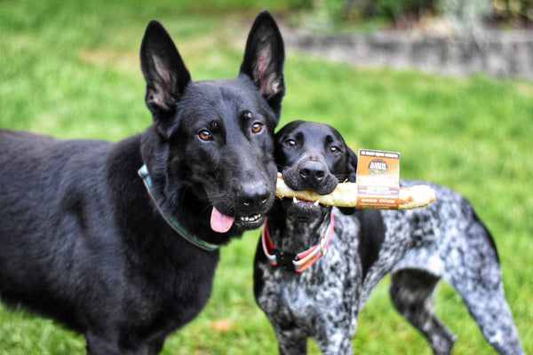 Chicken No-Hide® Wholesome Chews - Large