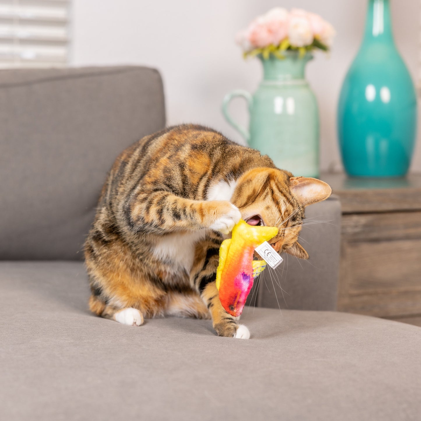 Rainbow Guppy Cat Toy