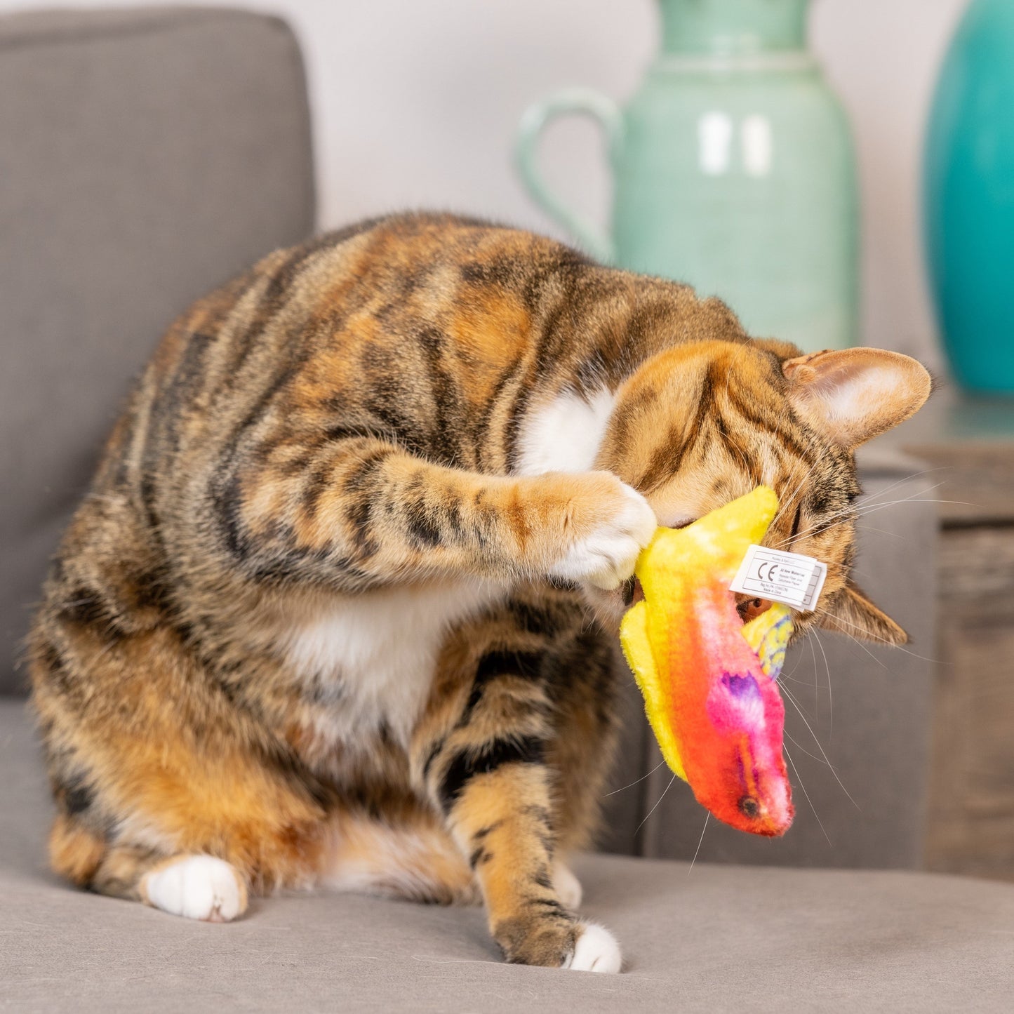 Rainbow Guppy Cat Toy