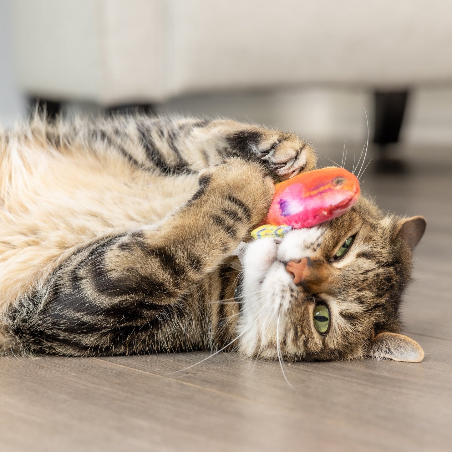 Rainbow Guppy Cat Toy