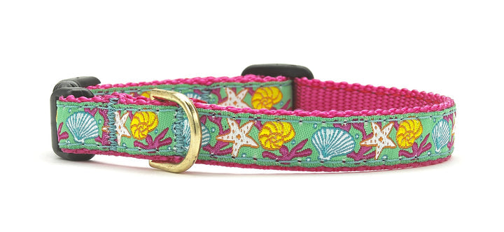 Reef Small Breed Dog Collar