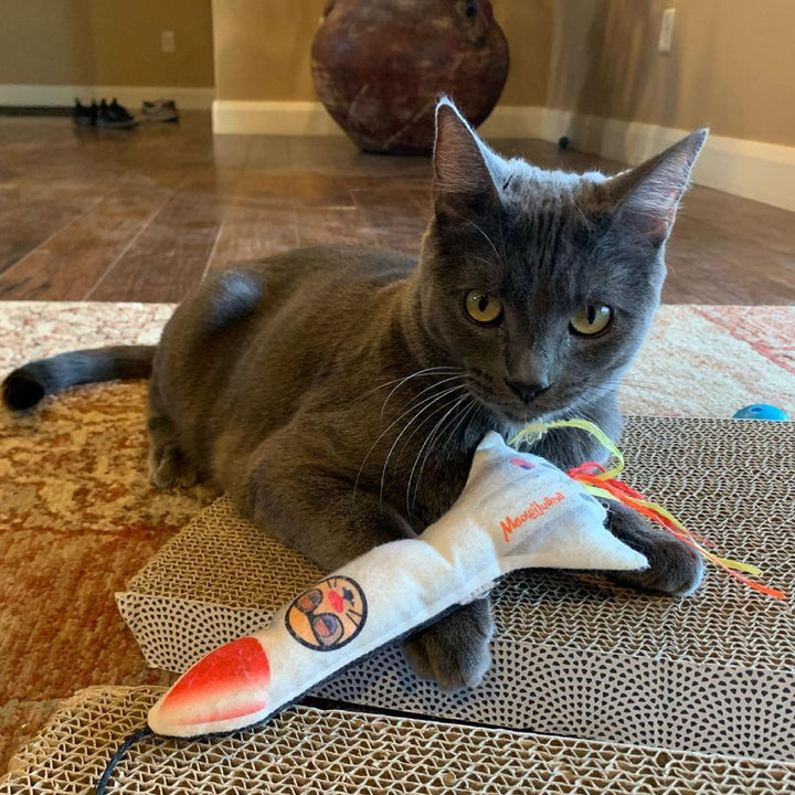 Get Blasted Refillable Rocket