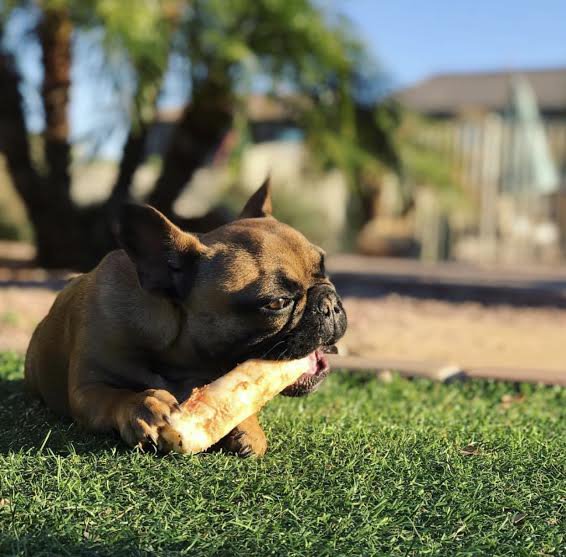 Peanut Butter No-Hide® Wholesome Chews - Small