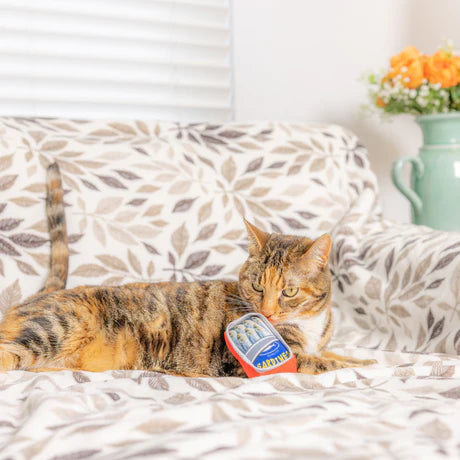 Sardine Tin Cat Toy