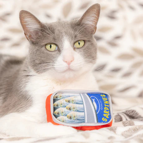 Sardine Tin Cat Toy