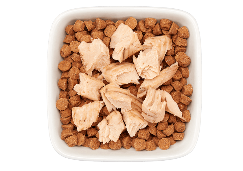 Tiki Cat Filet Salmon 1oz
