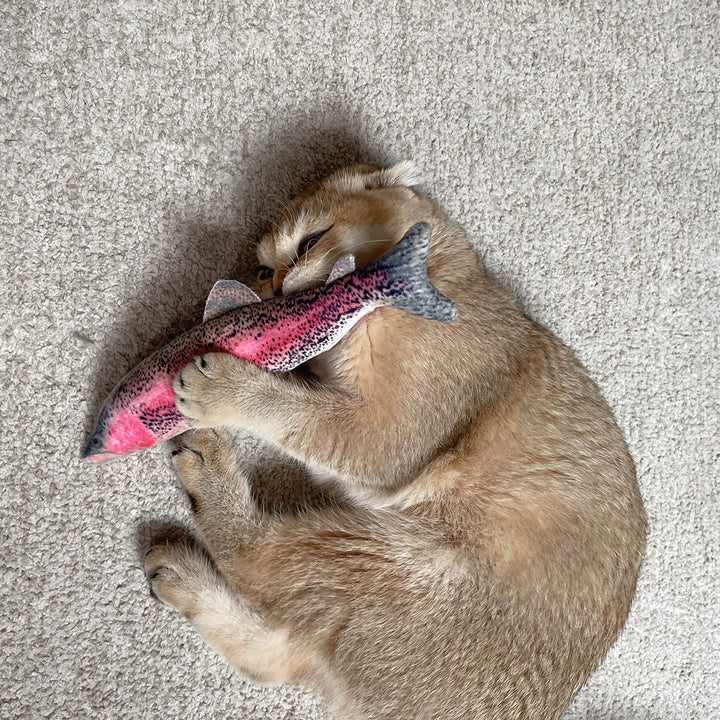 Get Smoked Refillable Rainbow Trout