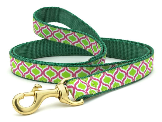 Green Kismet Dog 4ft Wide Lead