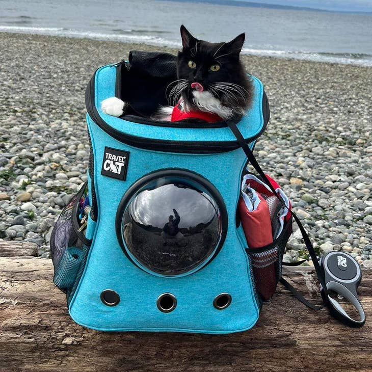 Bubble Pet Carrier / Cat Backpack(For Larger Cats)