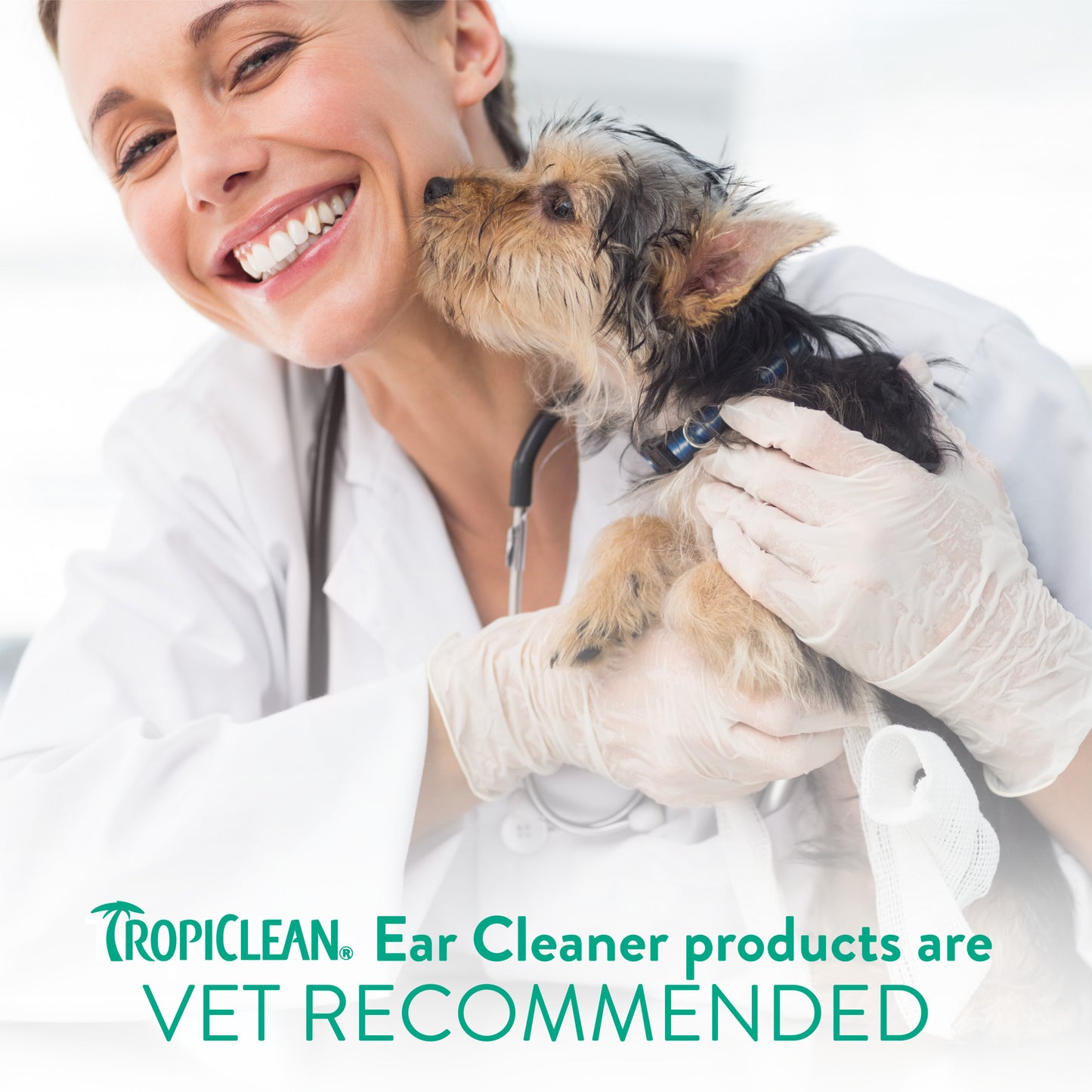 TropiClean Alcohol-Free Ear Wash 4oz
