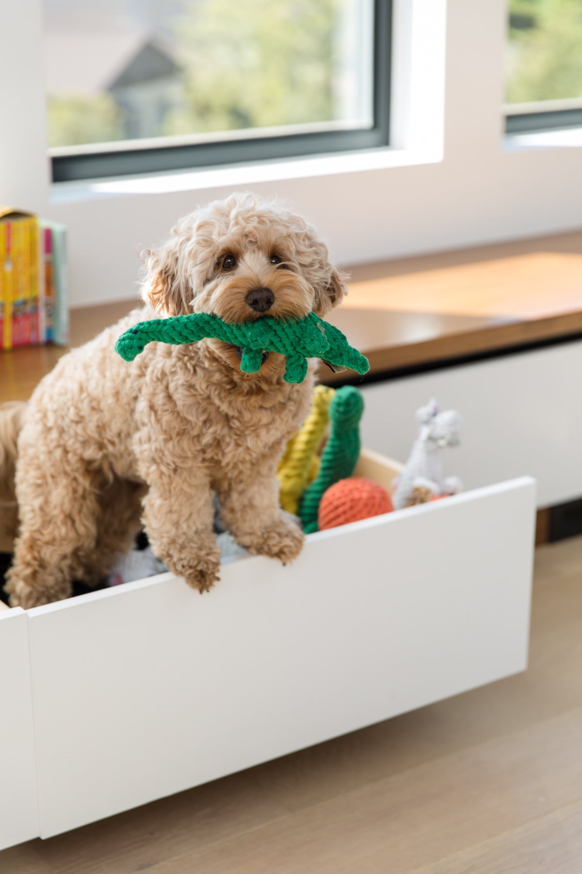 Brent The Brontosaurus Rope Dog Toy