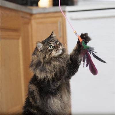 Fishing Pole Wand Cat Toy