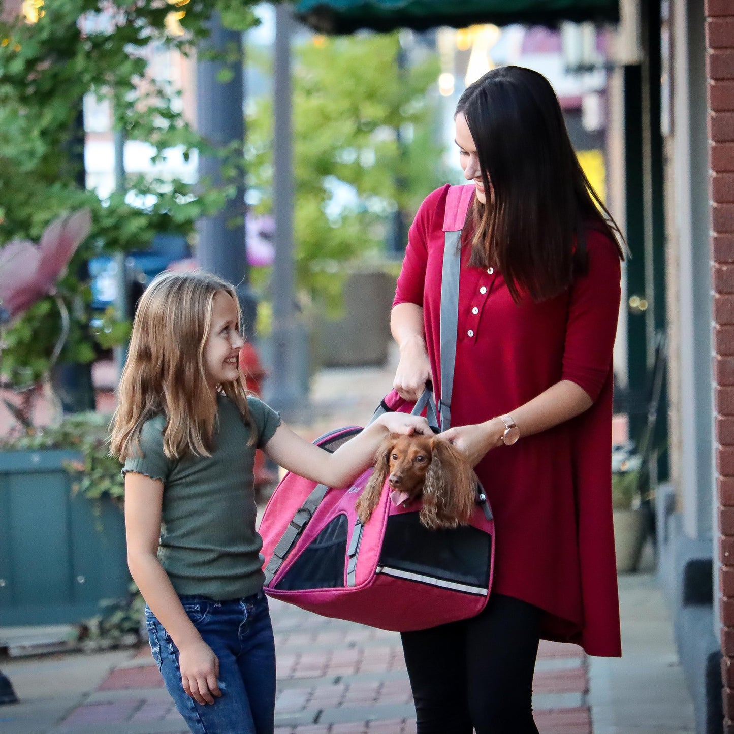 Bergan Comfort Carrier