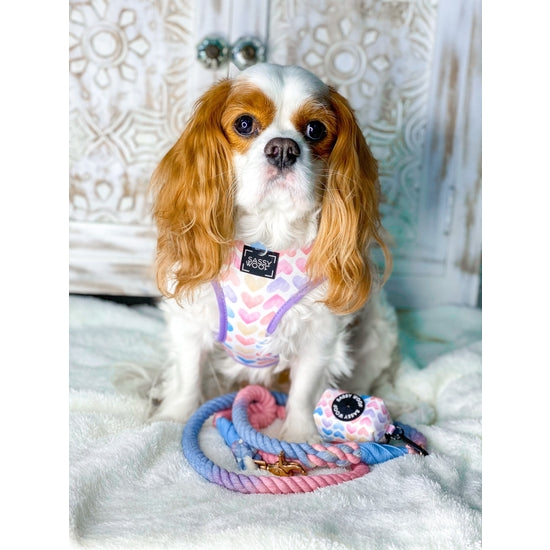 Dog Rope Leash - Victoria