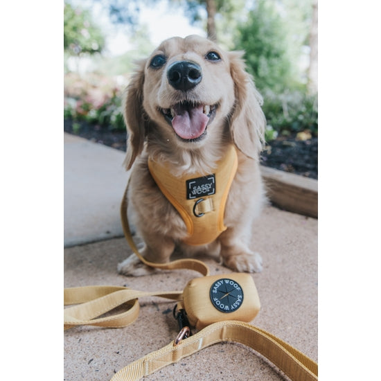 Dog Waste Bag Holder - Sunflower Fields
