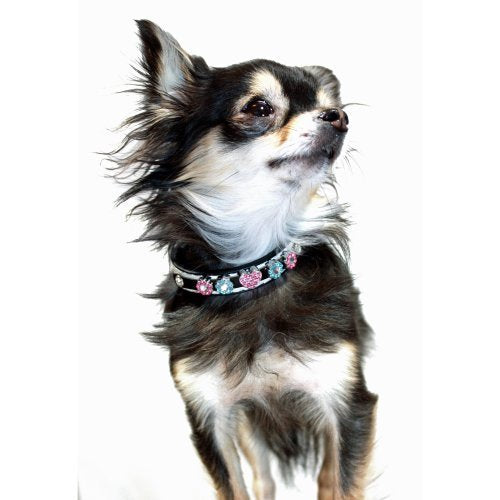 Pearl Flower Girl Leash Lg
