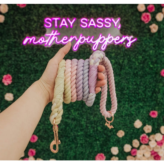 Dog Rope Leash - Caroline