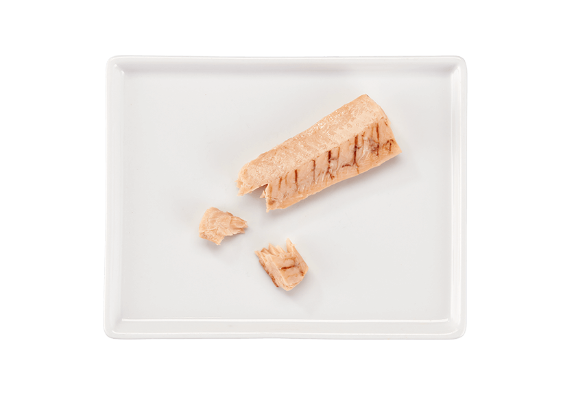 Tiki Cat Filet Salmon 1oz