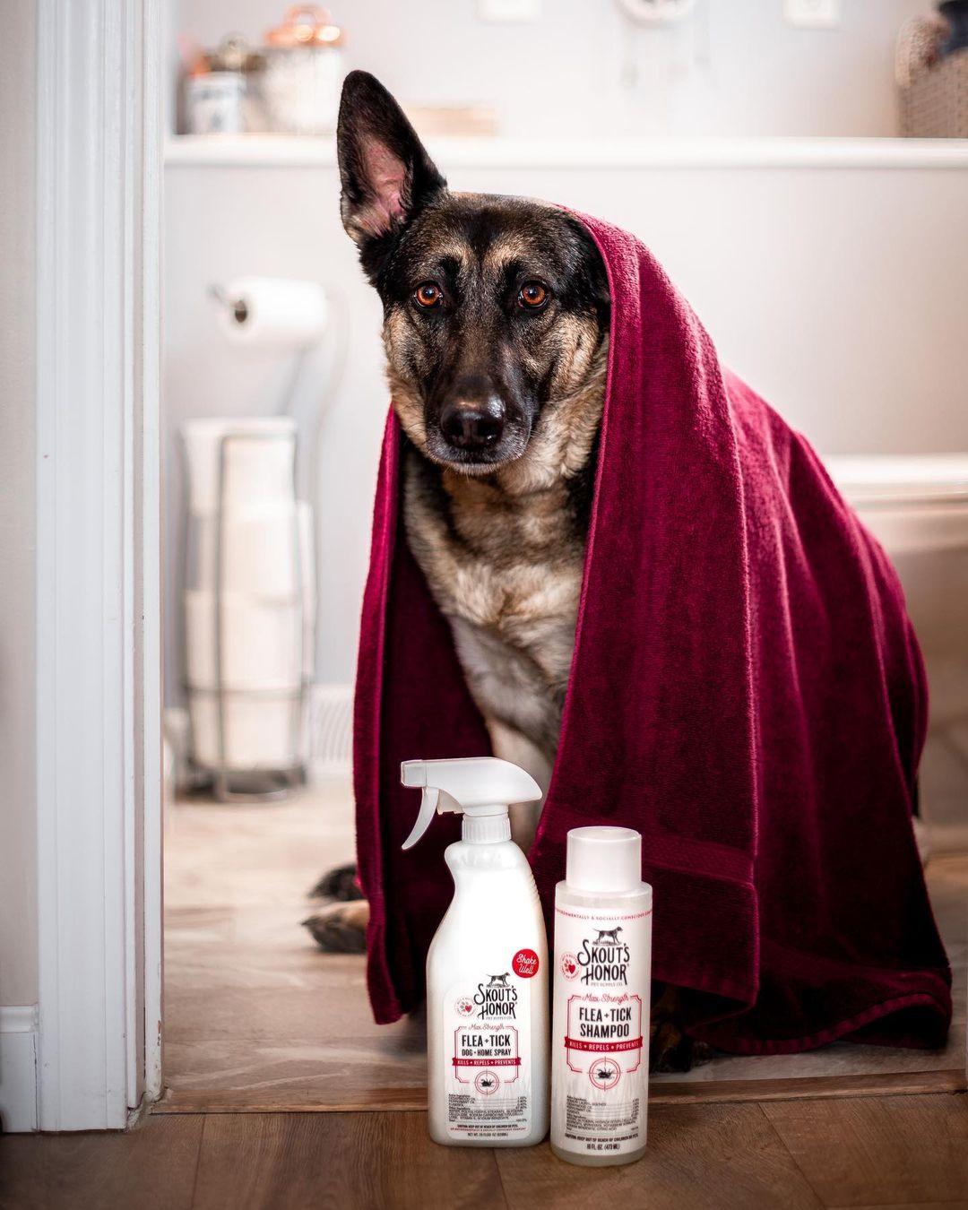 Skout's Honor Flea+Tick Dog & Home Spray 28oz