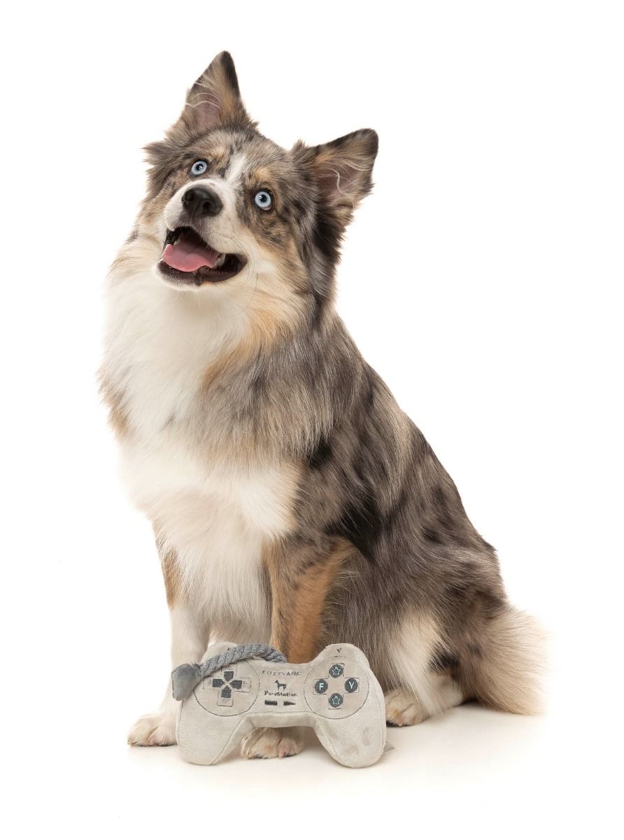 PawStation Controller Dog Toy