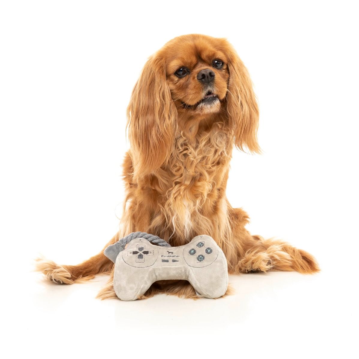 PawStation Controller Dog Toy