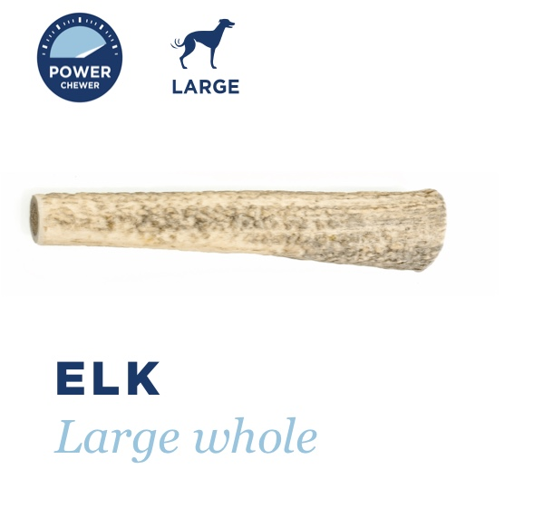 Barkworthies Elk Antler - Whole, Small *